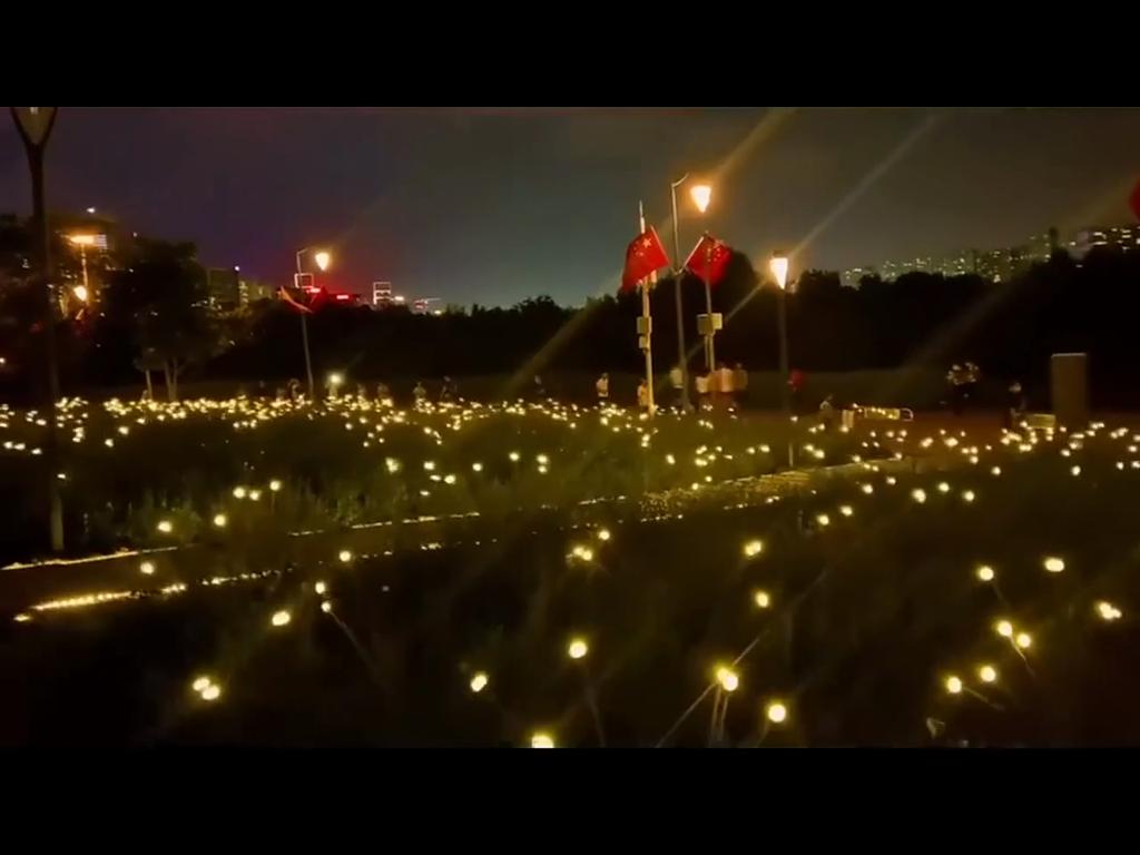 Christmas Decoration Solar Powered Firefly Lights Outdoor Waterproof Vibrant Garden Lights Upgraded for Wedding and Garden