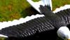 RC Foam Plane Eagle Model Aircraft 2.4G Radio Remote Control Airplane 405mm Eagle Wingspan Hobby Glider Toys for Children Boys