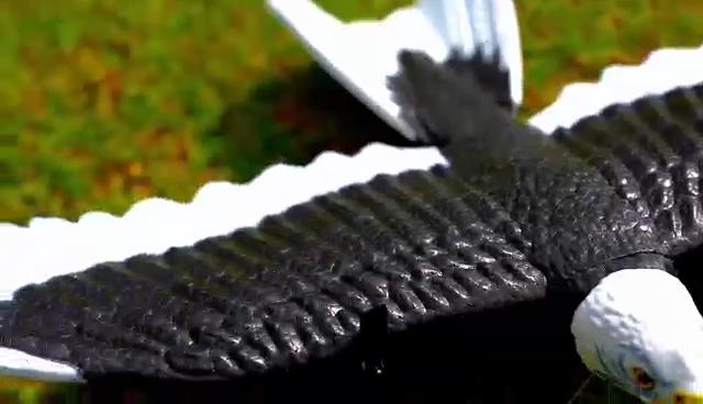 RC Foam Plane Eagle Model Aircraft 2.4G Radio Remote Control Airplane 405mm Eagle Wingspan Hobby Glider Toys for Children Boys