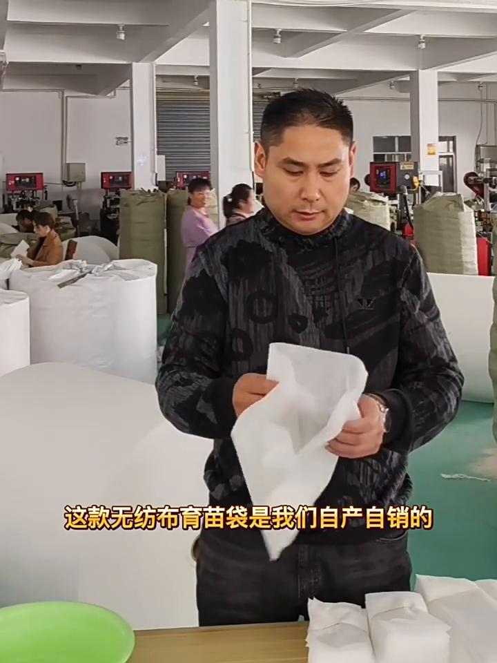 25/50/100pcs Biodegradable Nonwoven Fabric Nursery Plant Grow Bags Seedling Growing Planter Planting Pots Garden Eco-Friendly Ventilate Bag