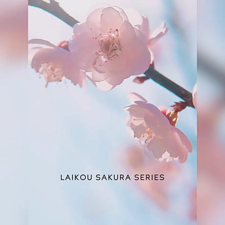 LAIKOU Japan Sakura Essence Cream Cherry Blossom Крем для лица увлажняющий, устраняющий сухость и шероховатость 60 г