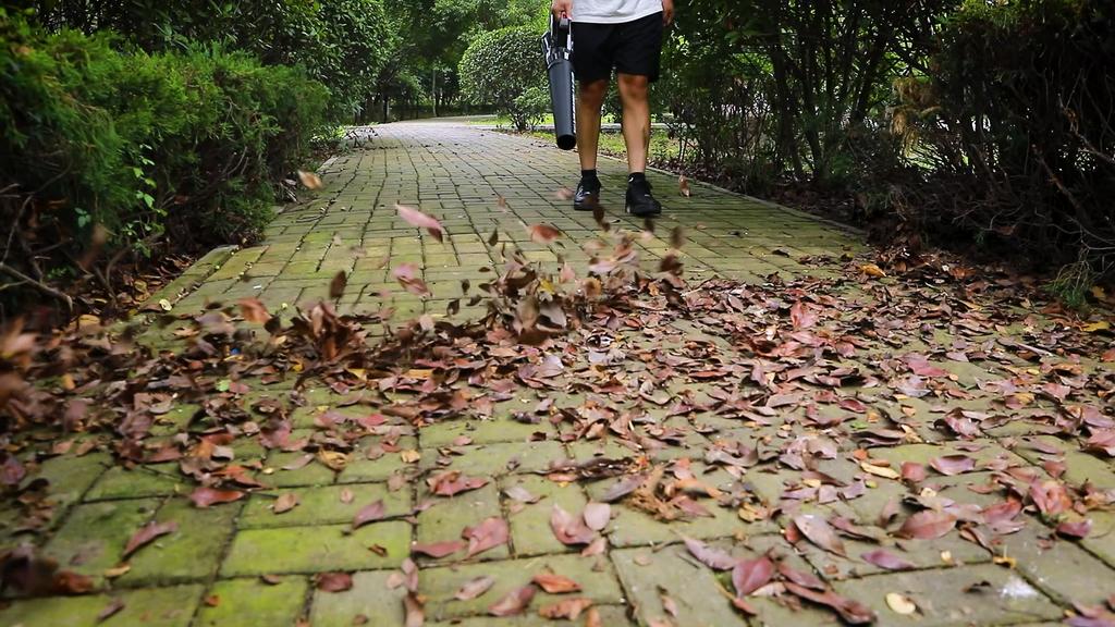 NANWEI Воздуходувка 13-ступенчатая мощность ветра 21 В 22500 об/мин