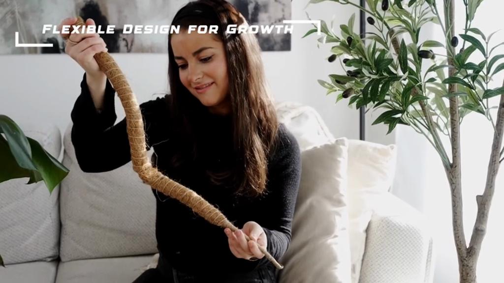 Опора для растений из мха - решетка для растений Опора для растений из мха для растений Monstera - Опора для вьющихся растений из мха