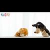 Zodiac Animal Plush Hand Puppets Made With Long Plush For Interactive Storytime Sessions