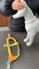 Dog Harness and Leash Set Breathable No Choke Step in Vest Harness for Small Dogs Adjustable Puppy Harness Pink Blue Yellow