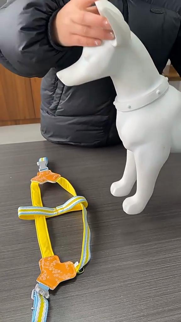 Dog Harness and Leash Set Breathable No Choke Step in Vest Harness for Small Dogs Adjustable Puppy Harness Pink Blue Yellow