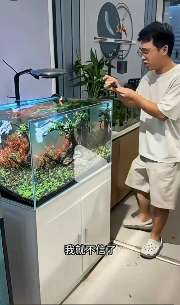 Aquarium Light Full Spectrum Fish Tank LED Zoomable Lights Fish Tank Atmosphere Spotlights for Plants Adjustable Focal Length