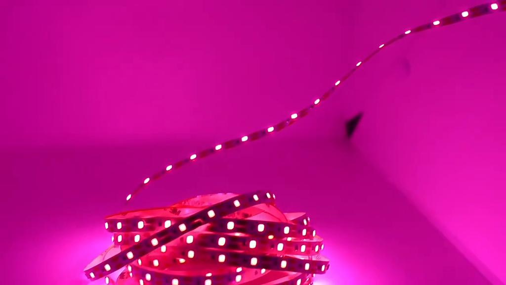 USB LED Full Spectrum Phyto Lamp USB 5V Grow Light Strip 1m 2m 3m 2835 SMD Plants Flowers LED Hydroponic Garden Plants Growing