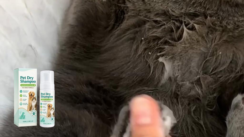 No-Rinse Pet Shampoo Mousse, Gentle for Sensitive Skin, Deodorizing & Fresh, Easy for Cats & Dogs 100ml