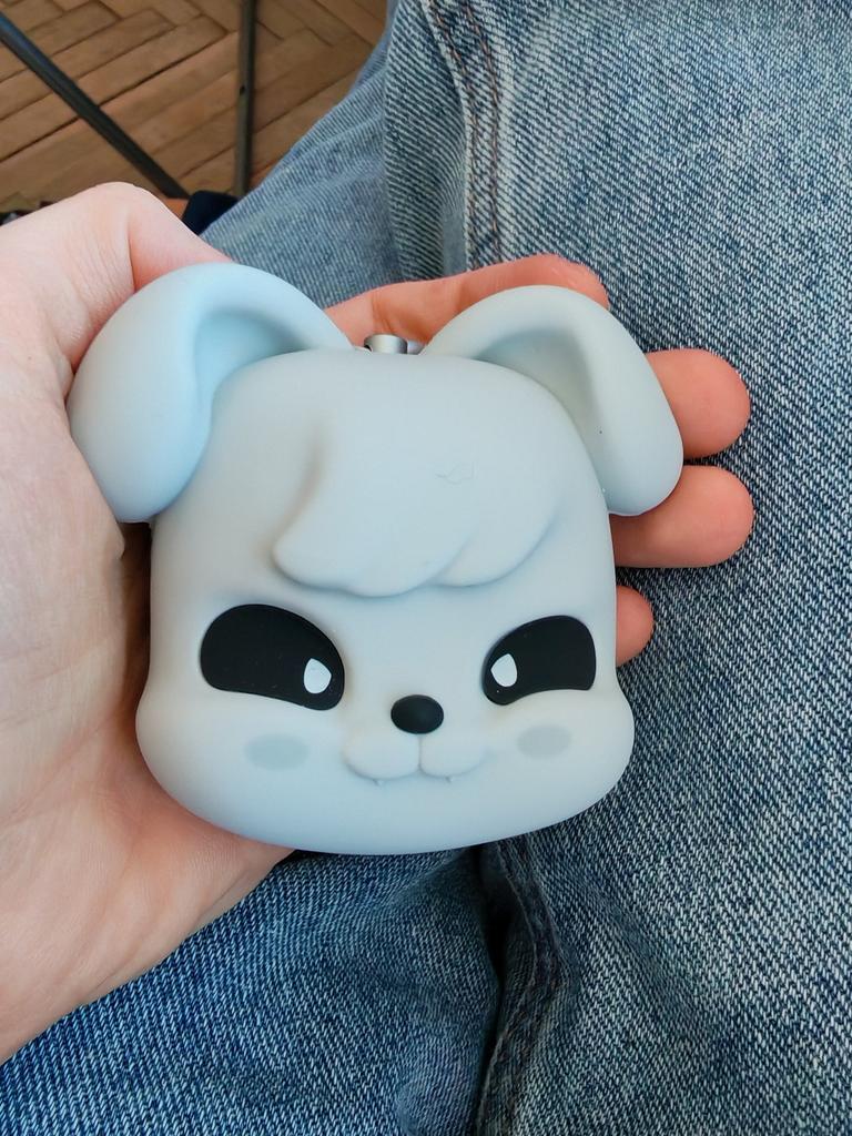 Stray Kids – SKZ IT TAPE 'DO IT' EVIL SKZOO SPEAKER Версия. (Выбор