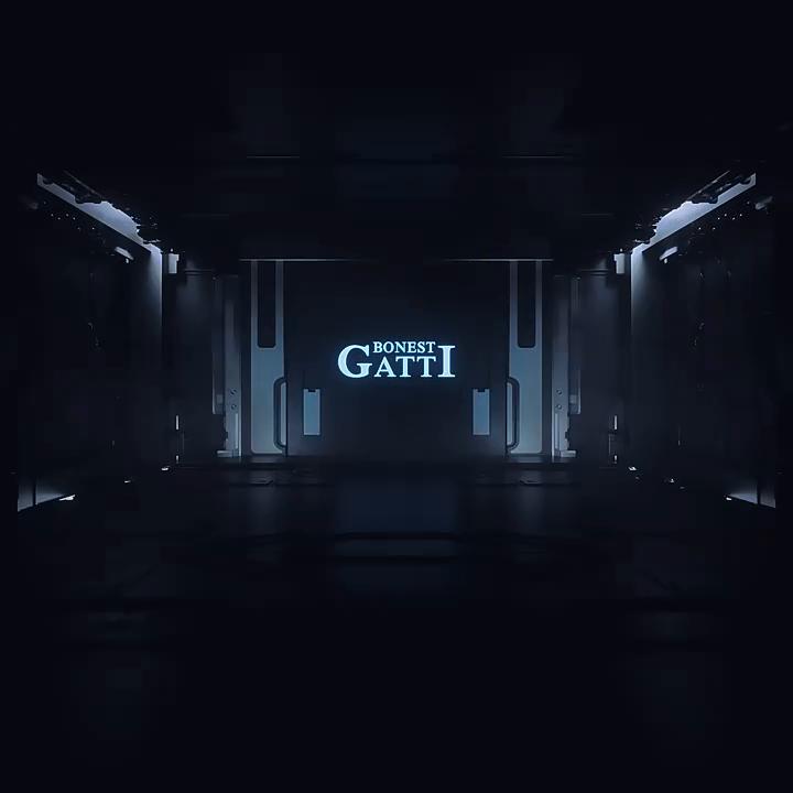 Часы Bonest Gatti, мужские роскошные механические часы, часы с именем, повседневные двухсторонние ажурные водонепроницаемые часы высокого класса