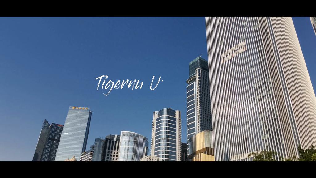 Tigernu Противоугонный рюкзак, водоотталкивающий 15,6-дюймовый USB-зарядка, повседневная мужская школьная сумка, женский и мужской для подростков