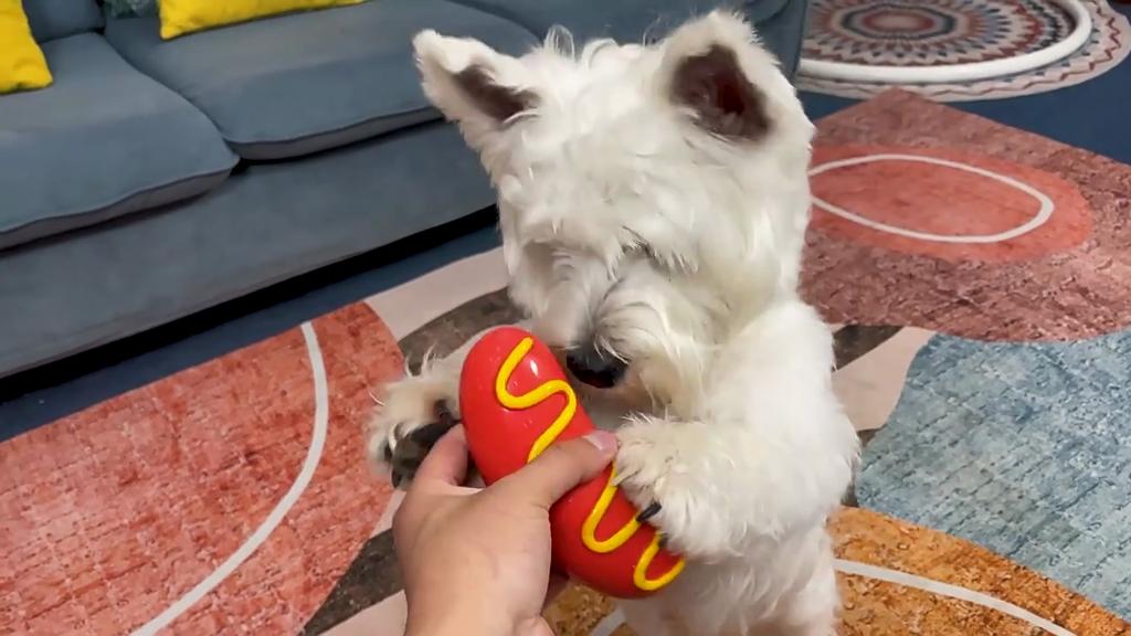 Товары для животных Звуковые жевательные игрушки Зубы Палочки Хот-дог Сосиска Игрушки для собак