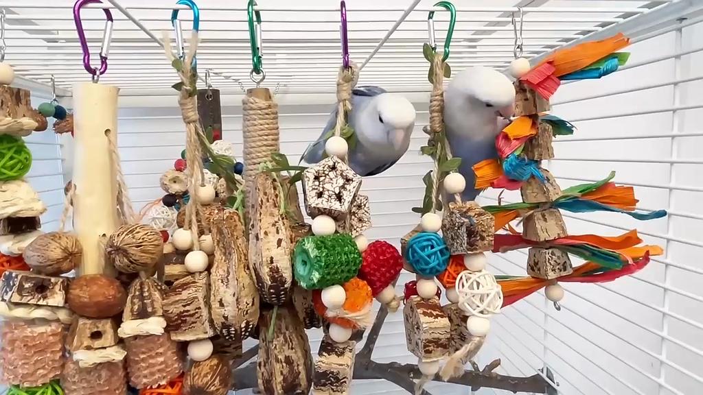 Принадлежности для попугаев, игрушки для кусачек из кожи тигра, красочные украшения в виде клетки, украшение для рта птицы, головоломка, шампуры для укуса