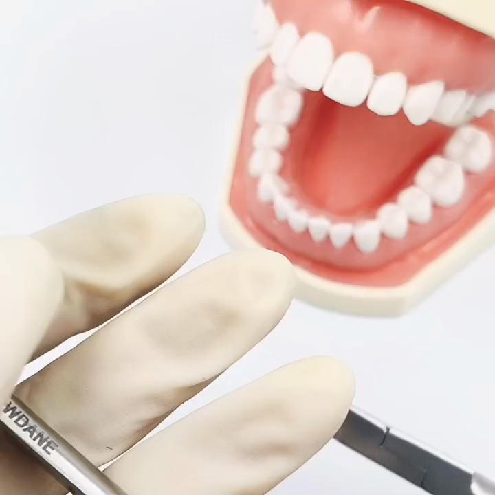 Dental Orthodontic Wire Distal End Cutter Plier TC Insert Cutting Instrument Dental Cutting Forcep Dentist Tools