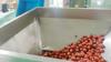 ZONESUN ZS-GWF14 Automatic Weighing and Filling Line Mutihead Weigher Packing Machine