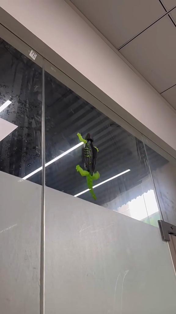 Budget-Friendly RC Wall-Climbing Gecko | Hot Selling Kids Toy