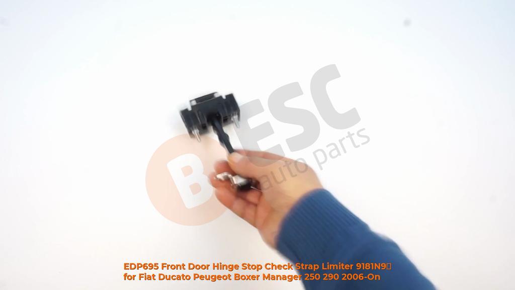 EDP695 Front Door Hinge Stop Check Strap Limiter for Fiat Ducato Peugeot Boxer Manager 250 290 2006-On 9181N9