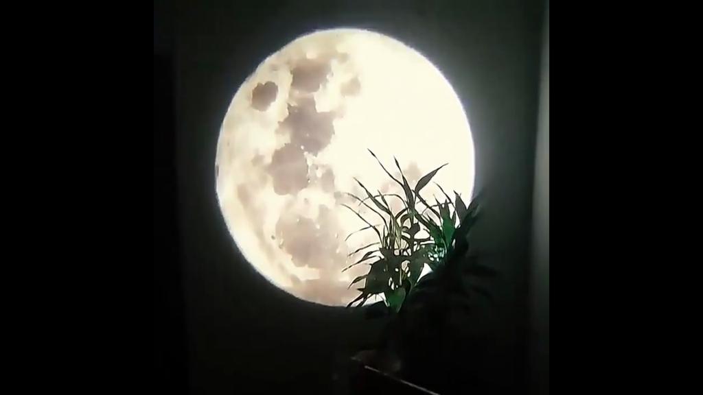 Светодиодный лунный проектор, ночник, USB-перезаряжаемый, регулируемый, 3D-светильник для спальни, детской комнаты, украшения стен для вечеринки