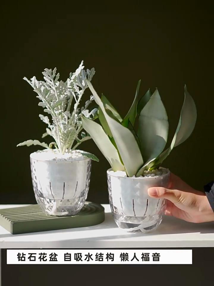 Самополивающийся цветочный горшок, автоматический впитывающий воду цветочный горшок, прозрачный двухслойный пластиковый горшок для суккулентных растений, декоративный горшок