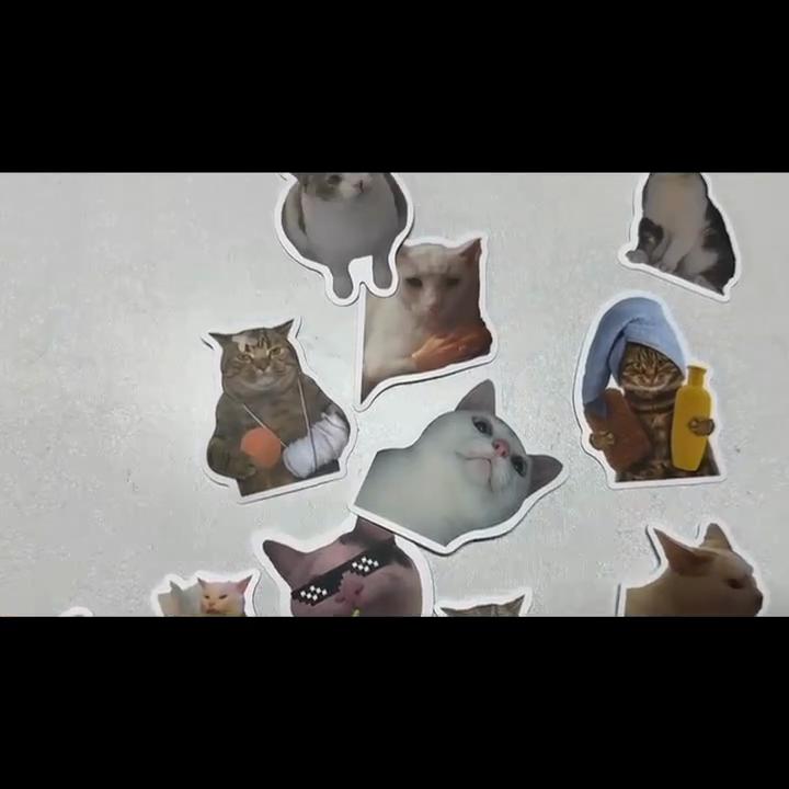 60 наклеек с котами из интернет-знаменитостей: Милые забавные выражения для блокнотов и декора.