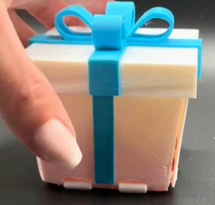 Раздражающая подарочная коробка 3D-печатная раздражающая подарочная коробка забавные портативные небольшие украшения с местом для хранения раздражающие подарочные коробки