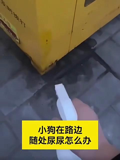 500 мл Спрей для домашних животных No-Go Средство для тренировки в помещении/на улице, чтобы отучить собак и кошек мочиться, грызть и царапать. Спрей против домашних животных