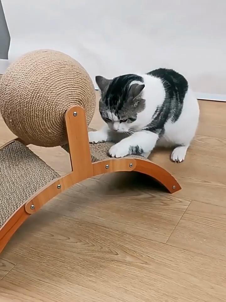 Wooden Cat Scratcher Sisal Cat Scratching Ball 2 In 1 Wear-Resistant Grinding Paw Toy Scratch Board Solid Wood Scraper for Cats