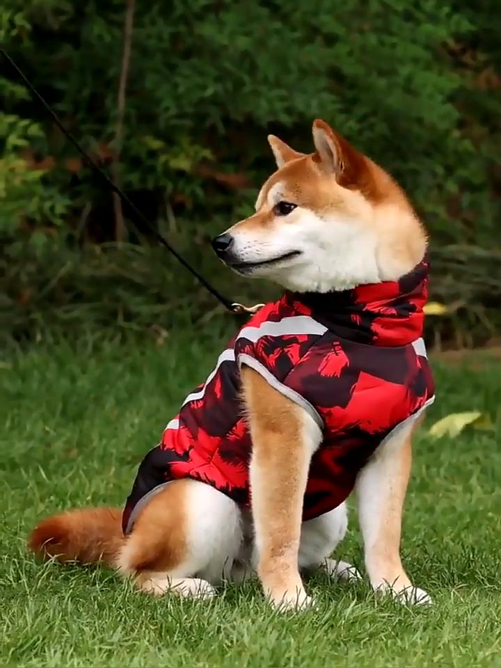 Синяя зимняя стеганая непромокаемая куртка для собак с рисунком каракулей, сохраняющая тепло, ночное отражение, хлопковое пальто для домашних животных, одежда для домашних животных