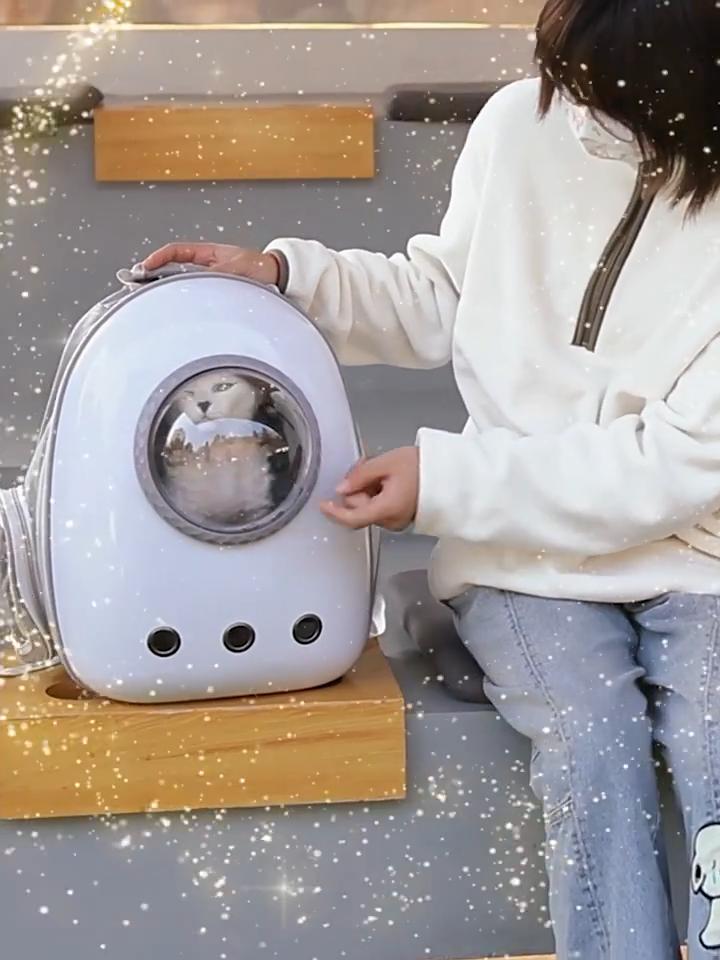 portable transparent space capsule pet carrier backpack breathable large capacity side open for cats outdoor travel