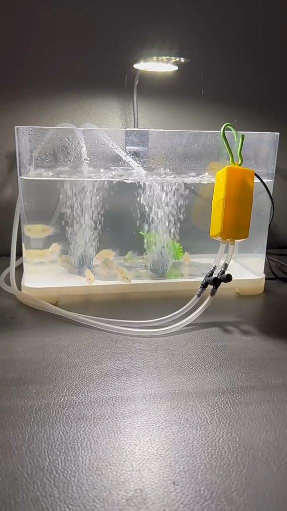 USB-насос для оксигенатора с двумя отверстиями, регулируемый бытовой бесшумный кислородный насос для аквариума, рыбалки на открытом воздухе, оксигенатор