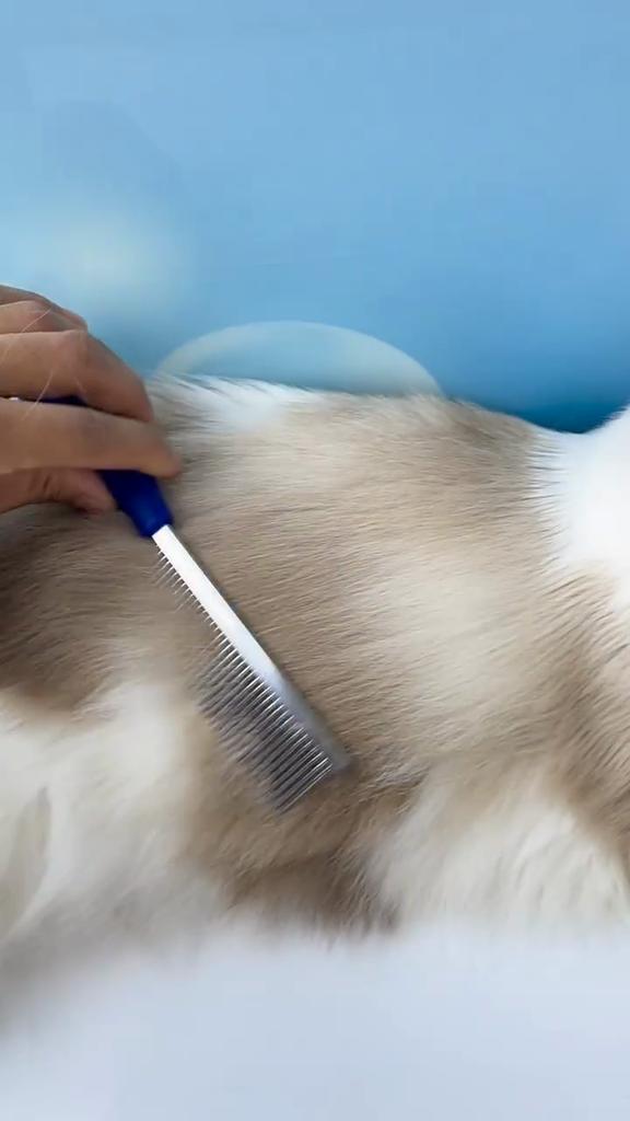 Professional Pet Combs Hair Remover Stainless Steel Teeth Dual-Sided Brush Cat Dogs Grooming Cleaning Tools For Short Long Hair