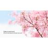 LAIKOU Set of 5 Facial Skin Care Products Brighten and Rejuvenate The Skin of Laikou Cherry Blossom