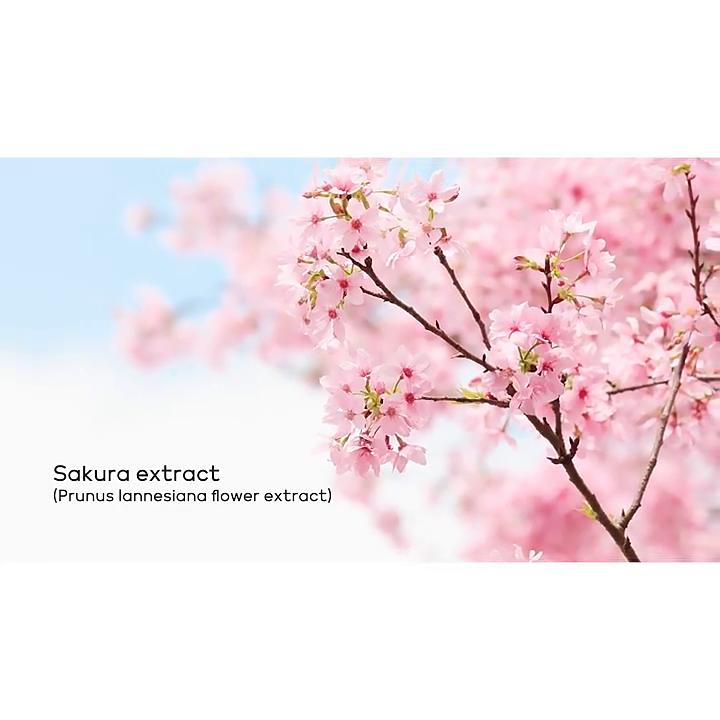 LAIKOU Set of 5 Facial Skin Care Products Brighten and Rejuvenate The Skin of Laikou Cherry Blossom