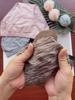 Женское нижнее белье Bare Ammonia, дышащие трусики с зебровым принтом и низкой посадкой. Женские удобные трусы с подтяжкой бедер.