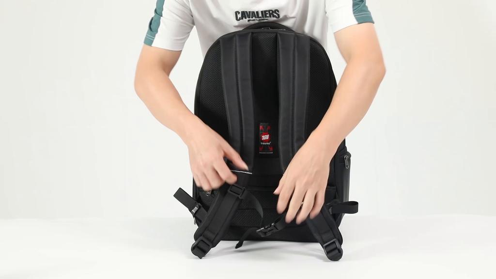 Tigernu Водонепроницаемый мужской рюкзак TSA 15,6-17 дюймов, рюкзак для ноутбука для мужчин, расширяемый дорожный школьный рюкзак, сумка