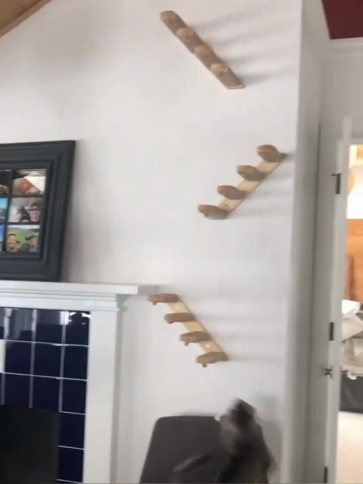 Настенная лестница для кошек, многослойная полка для лестницы из натурального дерева с пеньковой веревкой, настенная мебель для кошек для экономии вертикального пространства