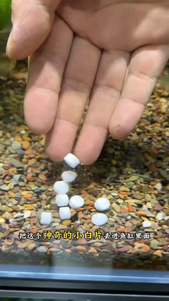 Tap Water Dechlorinator & Purifier Tablets - Aquarium Water Conditioner, Eliminates Chlorine, Purifies Water,Stabilizes Water Quality for Fish Tanks