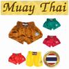 Raja Boxing Muay Thai Kickboxing Training MMA Shorts Retro Vintage Pants Print 3D Elastic Waist Fight Martial Art Quick Dry Unisex Men Women