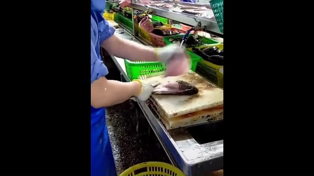 Нож для обвалки рыбы Профессиональный инструмент Кухонный нож для готовки Рыболовный нож для разделки мяса