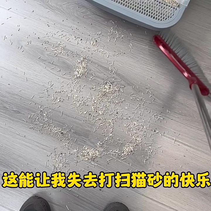 2025 Cat Litter Mat Double Layer Waterproof Urine Proof Trapping Mat Easy To Clean Non-Slip Toilet Pad Cat Scratch Pad Large Foot Pad