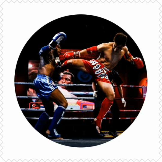 2022 Men's Boxing Pants Printing MMA Shorts Fight Grappling Short Polyester Kick Gel Boxing Muay Thai Pants Thai Boxing Shorts