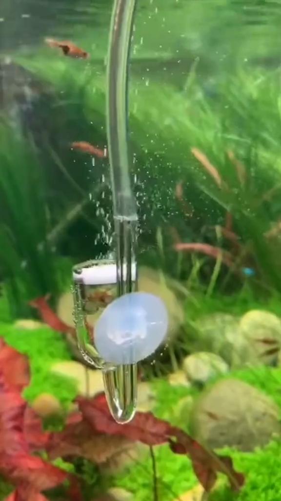 Aquarium CO2 Diffuser Check Valve U Shape Glass Tube Suction Cup for 4x6mm Tube