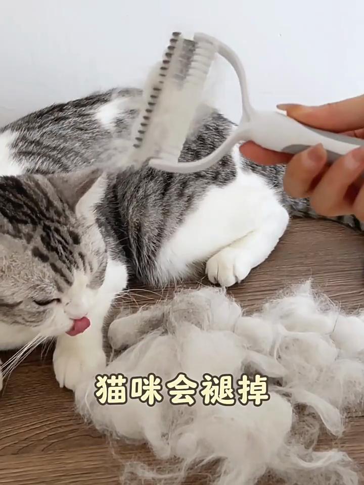 Professional Pet Grooming Brush Detangling Comb For Cats And Dogs Stainless Steel Teeth Deshedding Tool Gentle Hair Remover For Shedding Control