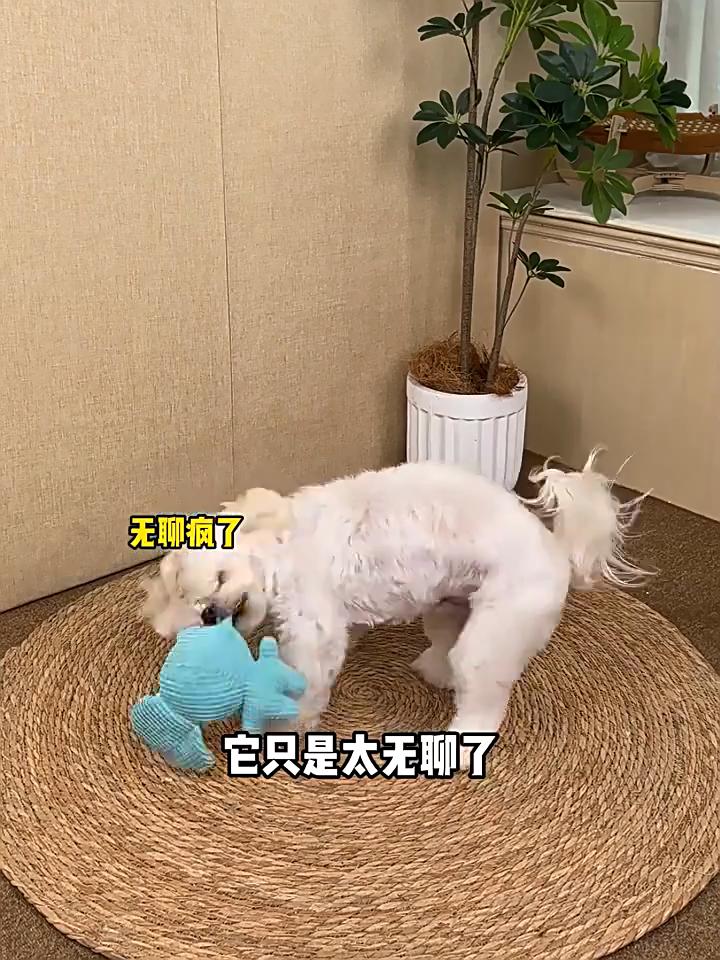 Dog Toy Grinding Teeth Resistant Puppy Dog Plush Sound Self-Hi Boredom Relief Artifact Puppy Pet Sound Toy