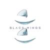 Подушечки для подъема ресниц blackwings, 2 пары, силиконовые подушечки для подъема ресниц, 2 размера