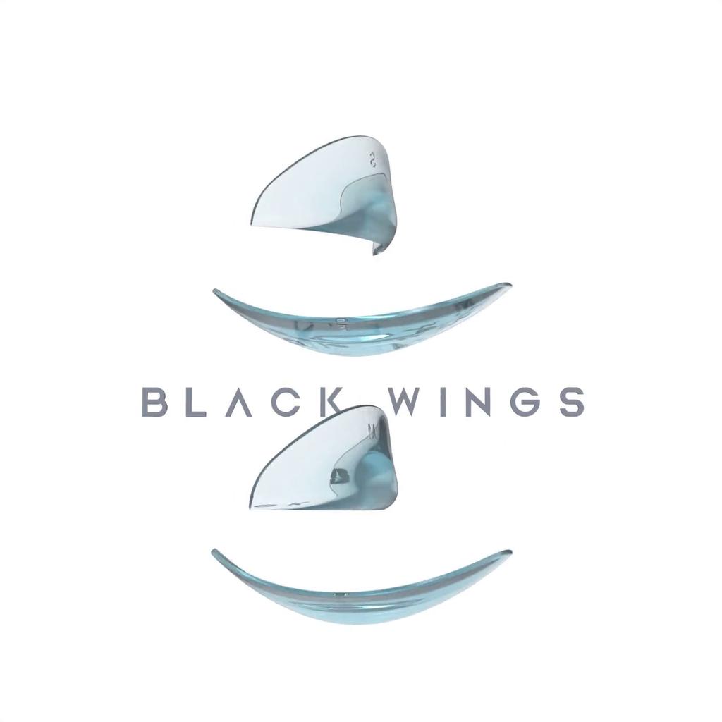 Подушечки для подъема ресниц blackwings, 2 пары, силиконовые подушечки для подъема ресниц, 2 размера