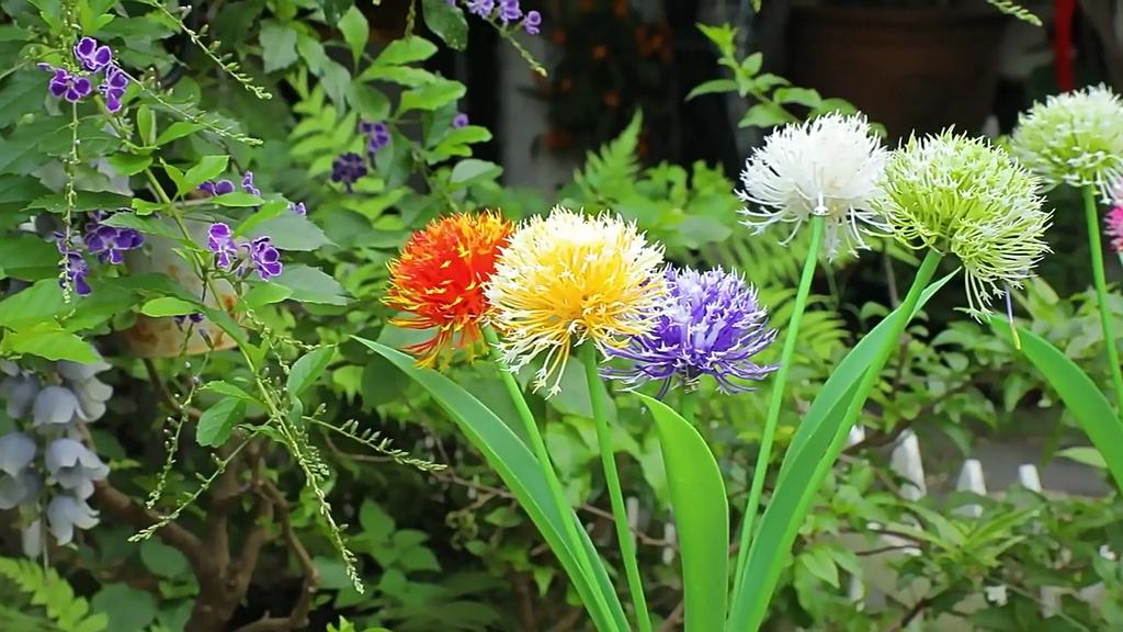 Солнечные садовые фонари, 1 упаковка разноцветных солнечных цветов одуванчика, уличный декор сада, водонепроницаемые солнечные декоративные колья, светильники для садоводства