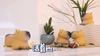 Игрушки для снятия стресса Squeeze Stress Relief Toys Capybara Fidget Toy, выдвижная игрушка, сенсорные игрушки для СДВГ, аутизма - игрушка для снятия стресса на день рождения