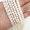 Natural Shell Beads Round Oval Disc Beads Loose Spacer Beads for Bracelet Necklace DIY Jewelry Making Beads Accessories